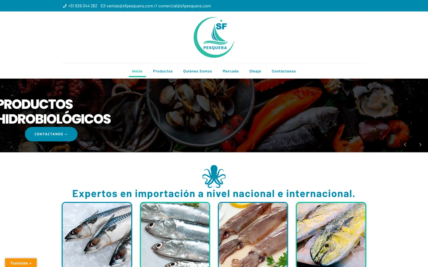 Web de SF Pesquera en computadora